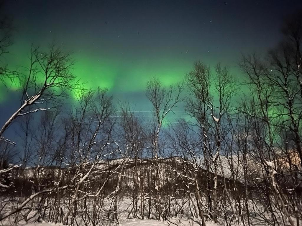 Vila Elvestua Gibostad Exteriér fotografie