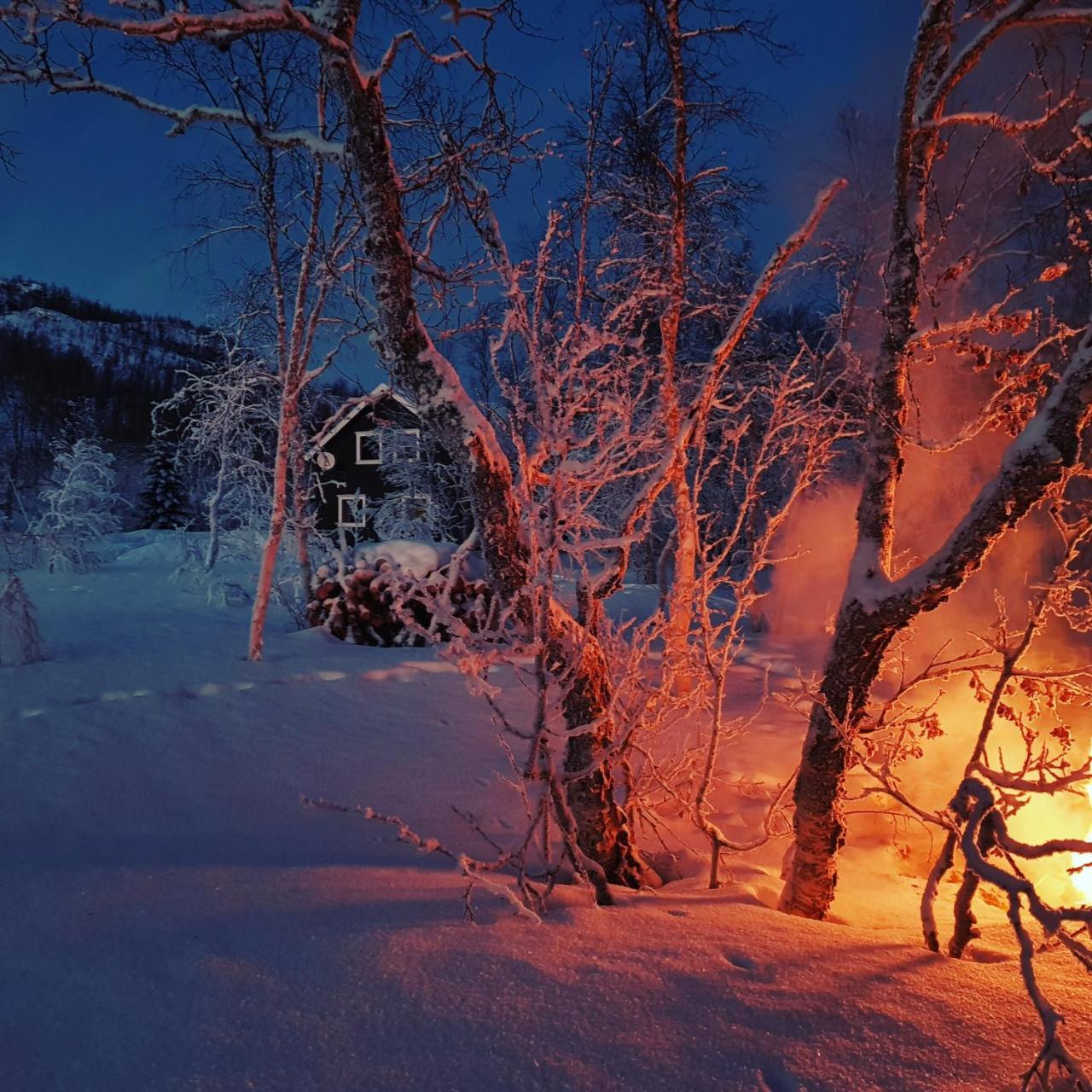 Vila Elvestua Gibostad Exteriér fotografie