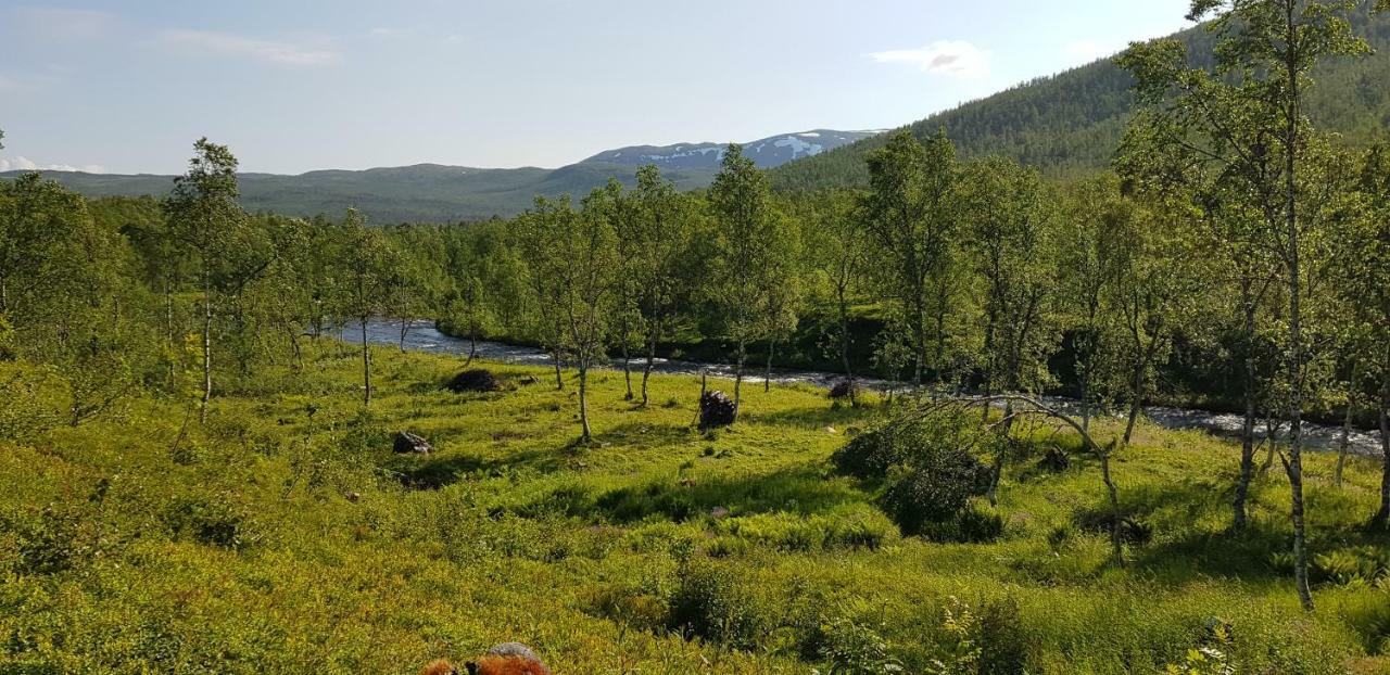Vila Elvestua Gibostad Exteriér fotografie