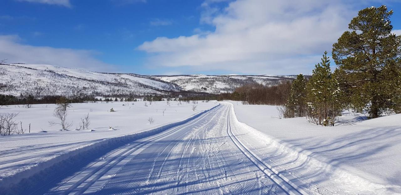 Vila Elvestua Gibostad Exteriér fotografie