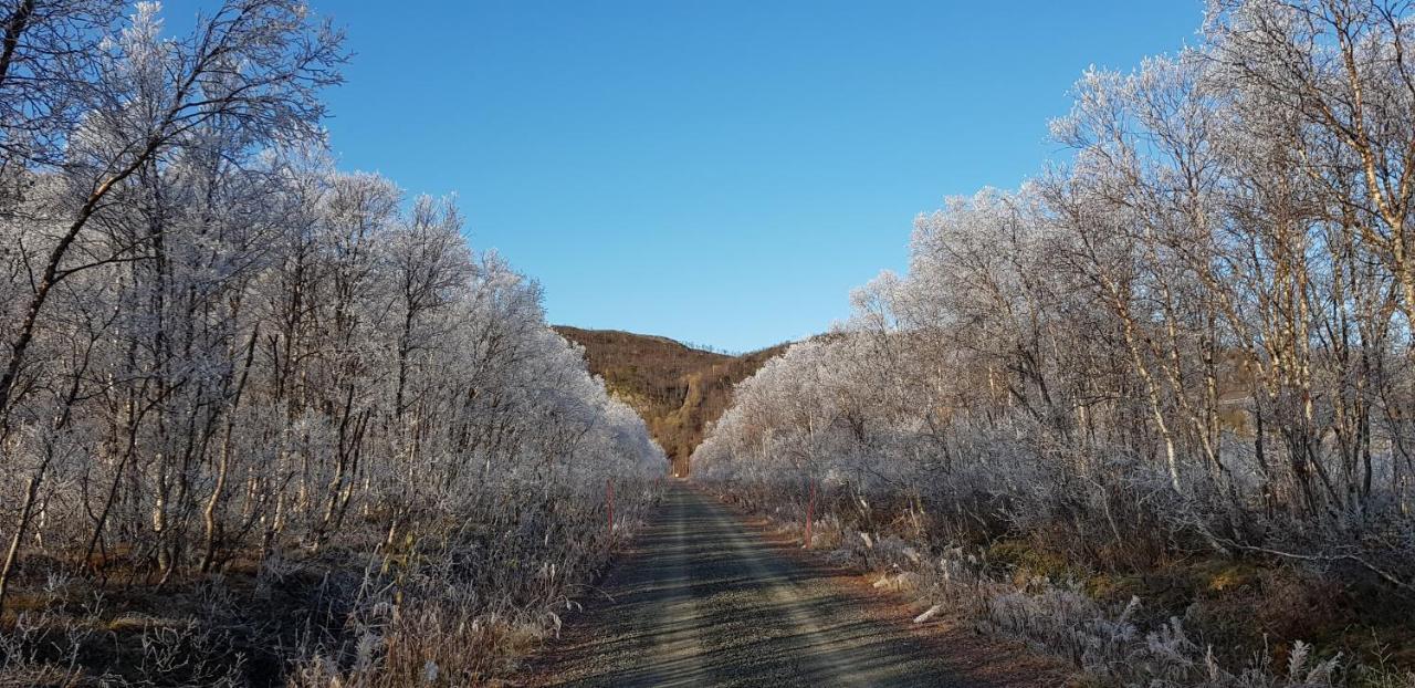 Vila Elvestua Gibostad Exteriér fotografie