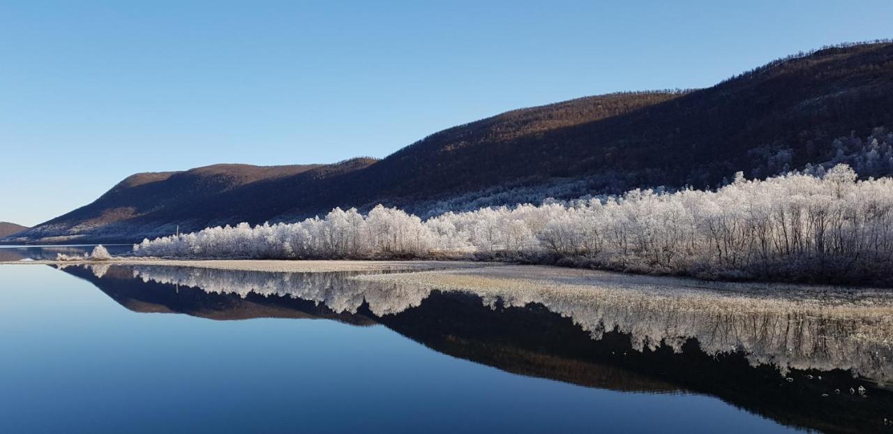 Vila Elvestua Gibostad Exteriér fotografie
